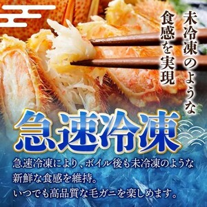 北三陸産 冷凍 ボイル 毛ガニ 約350g×2尾 かに カニ 蟹 毛蟹 かにみそ 魚介類