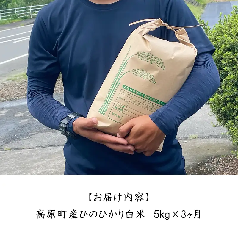【令和8年産】宮崎県高原町産 ひのひかり白米 定期便5kg×3ヶ月（計15kg） TF00855-P00079