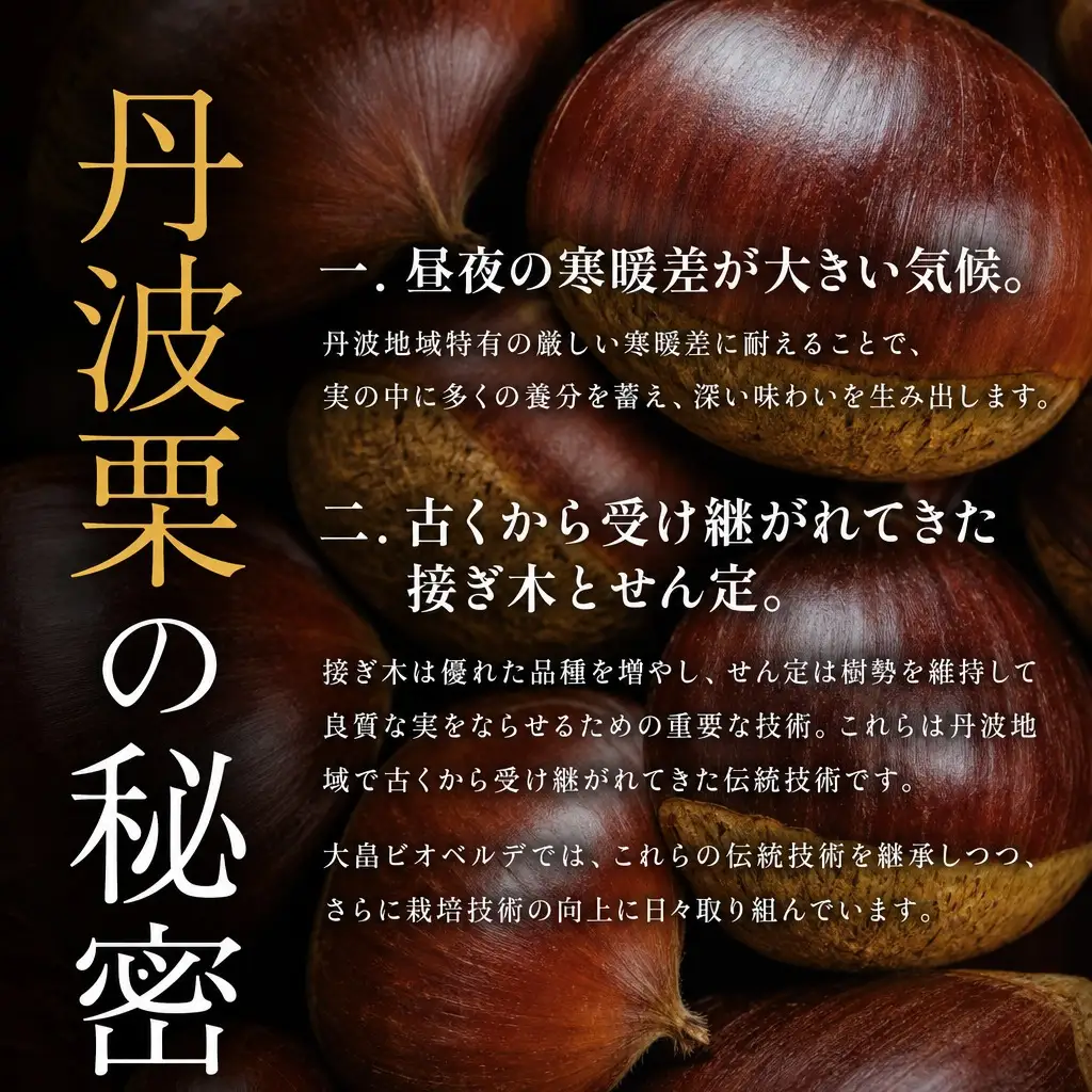 丹波焼き栗 1kg（200g×5） / 有機栽培 国産 ギフト 綾部市 / 大畠ビオベルデ［BSDL004］