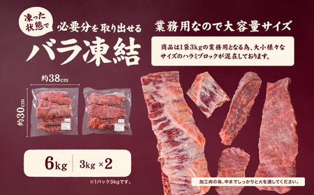 【ハラミ】 牛ハラミ ブロック 6kg タンブリング加工 【NGB005】