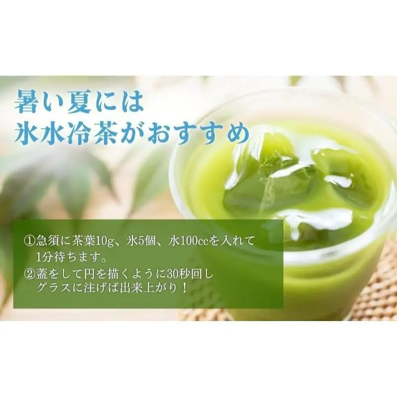 お茶 森の茶 初摘み たっぷり10袋 煎茶 お茶