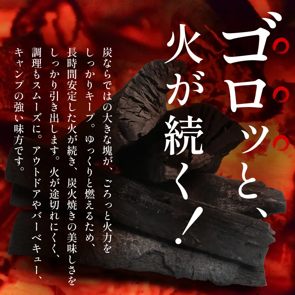 南大隅町産 炭（約3kg) NI-1｜樫の木 マテの木 木炭 備長炭タイプ 高級炭 火力 火持ち 扱いやすい BBQ アウトドア グリル キャンプ 鹿児島県 南大隅町 なんたん市場