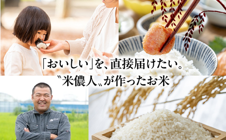 米 令和7年産 白銀の穂 10kg 白米