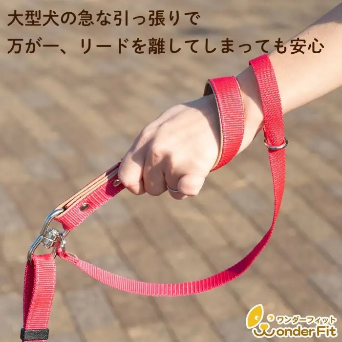 手持ちリード大型犬用 すっぽ抜け防止 ダブルリード ねじれ防止 170g | 犬用 犬リード 二重リード お散歩 安心設計 すっぽ抜け防止 逸走防止 外れない 日本製 ペットグッズ ペット用品 おしゃれ 可愛い プレゼント 贈り物 てるべる 埼玉県 越谷市