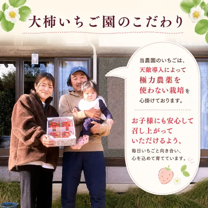 やさしさ仕立ての とちあいか 300g×2P 【2027年先行予約】 栃木県 矢板市