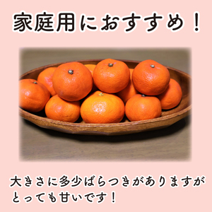 【みかん】 訳あり みかん 3kg 小原紅早生 蜜柑 【蜜柑】