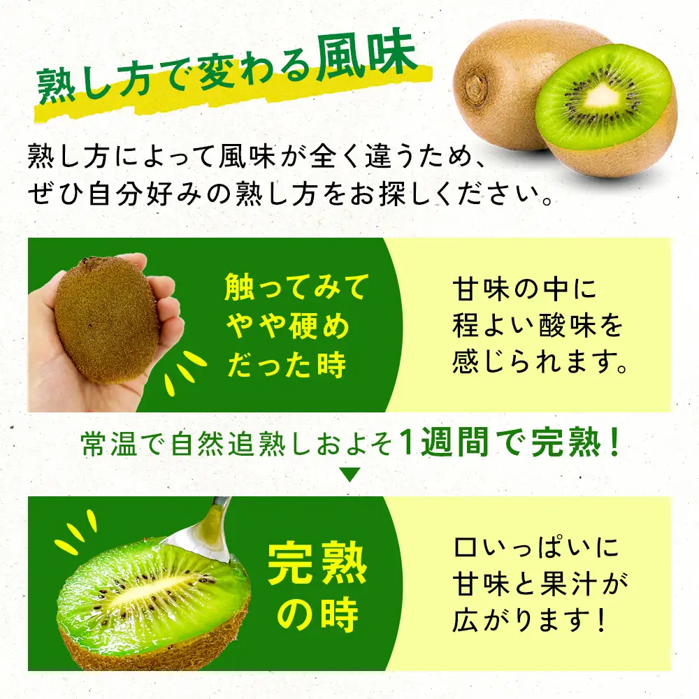 訳あり翡翠グリーン4.5kg（小玉、擦り傷、日焼け） 数量限定 希少 国産 甘い 氷見キウイランド 富山県 氷見市
