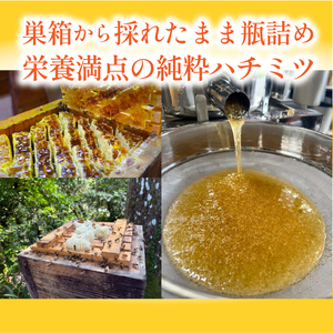はちみつ 〈丹波篠山産 日本蜜蜂 百花蜜〉 180g×1瓶 蜂蜜  [SYC01]