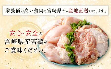 ＜宮崎県産若鶏6kgセット＞翌月末迄に順次出荷【c430_hn_x4】
