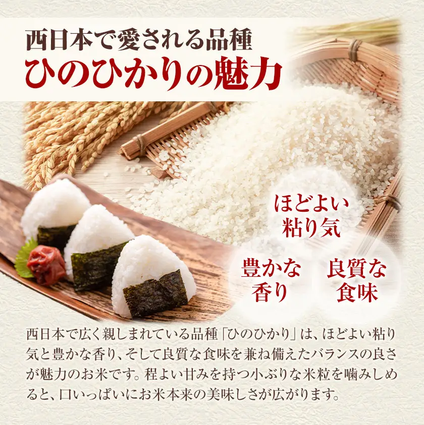 令和7年産 難関突破達成米 ひのひかり 計6kg 有限会社花見商店