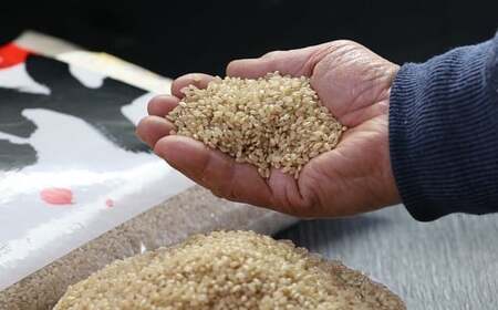 【令和7年産】南関町の米ヒノヒカリ 玄米 10kg 熊本県 南関町産 単一原料米 ヒノヒカリ 産地直送 お米 マイスター