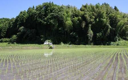【令和7年産】難関突破達成米 白米 300g×8個 キューブ 精米 熊本県 南関町産 単一原料米 ヒノヒカリ 産地直送 コメ お米 祈願米