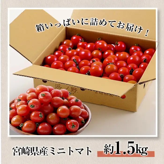 ＜期間限定＞ミニトマト(約1.5kg) 野菜 サラダ 【GF-4】【グーファーム】