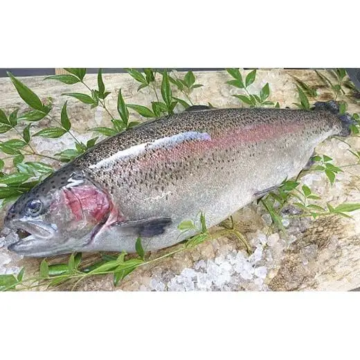 産地直送栃木県のブランド魚「プレミアムヤシオマス」の塩麹漬 2切入  [ 冷凍便 ] | 魚 ます 養殖 産地直送 栃木県