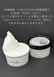 橿原　手作りジェラート6個セット