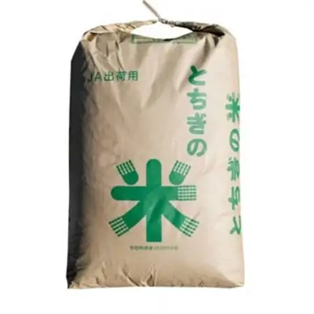数量限定!令和7年産 とちぎの星 玄米 30kg【1628168】