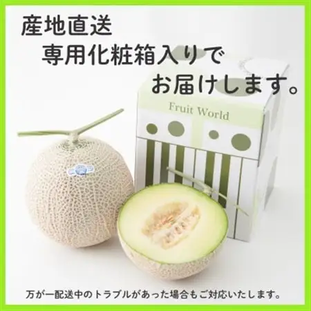 【お歳暮のし付】静岡県磐田市 クラウンメロン 白等級 約1.3kg2個 2026年12月より順次出荷【配送不可地域：離島・北海道・沖縄県】【1640728】