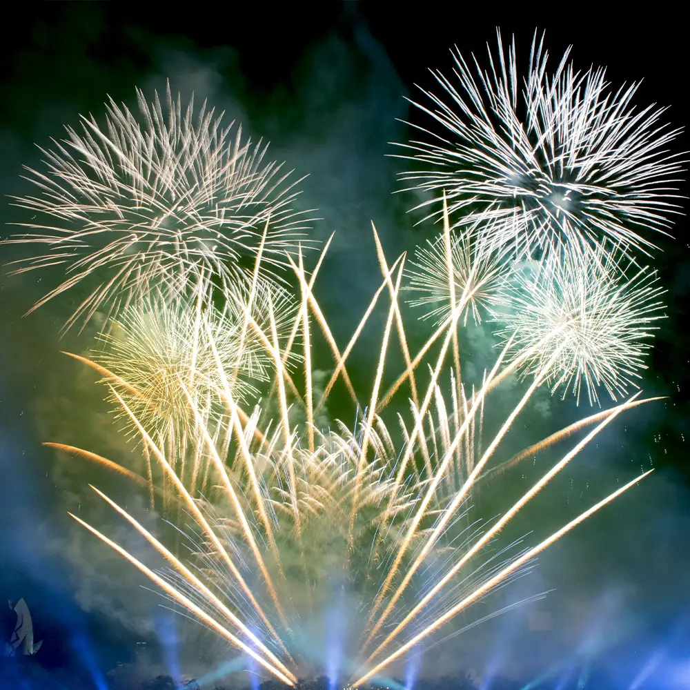 万博夜空がアートになる日　2026　鑑賞チケット　パノラマシート2枚 ／ イベント 花火 花火大会 芸術イベント 観覧シート 万博記念公園 大阪吹田市 一夜限り 国内トップクラス 家族 ファミリー 恋人 カップル 思い出 記念日 大阪府 No.176