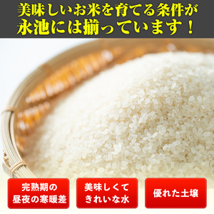 isa745 《数量限定》令和7年産 特別栽培米 伊佐米永池 にじのきらめき(5kg) 伊佐市 永池 特産品 お米 米 白米 精米 伊佐米 にじのきらめき 5kg 【エコファーム永池】