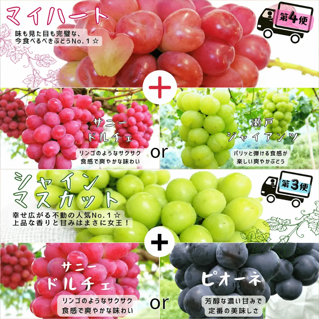 【4回定期便】 シャインマスカット 岡山県産ぶどう シャインマスカット入り定期便 【hfbd-tkb008-03】