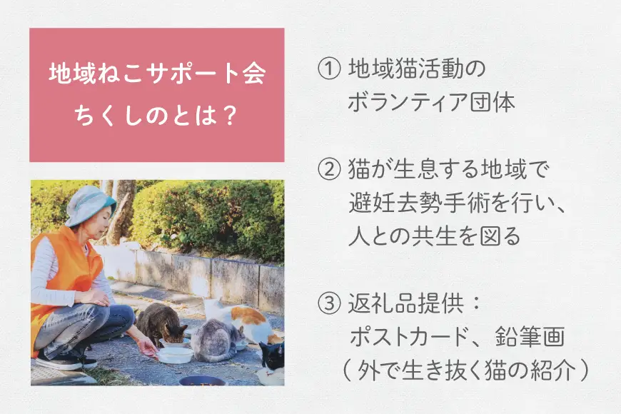 保護猫 支援 猫保護活動への支援 ポストカード 5枚 鉛筆画 1枚