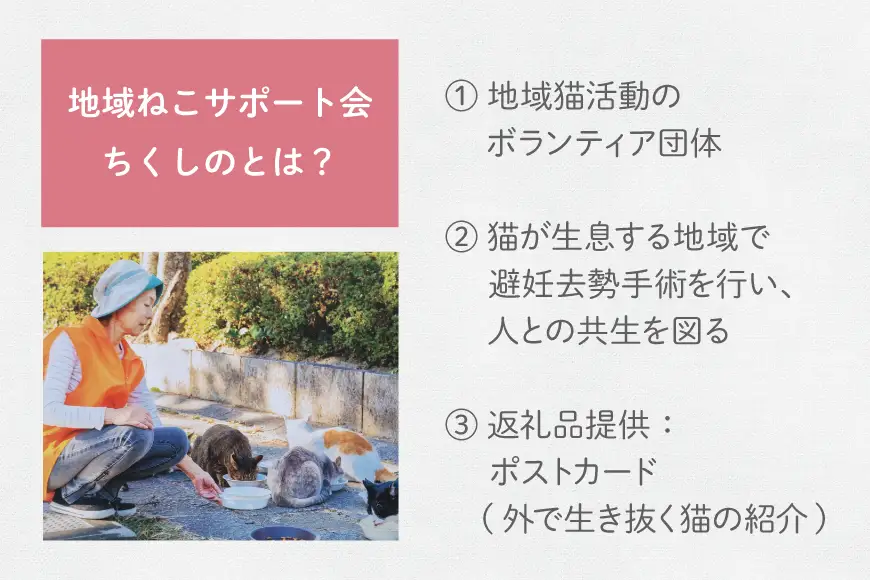 保護猫 支援 猫保護活動への支援 ポストカード