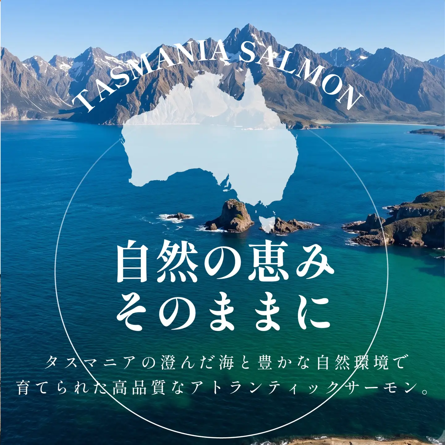 【 濃厚な旨味 】サーモン 約1kg サーモン