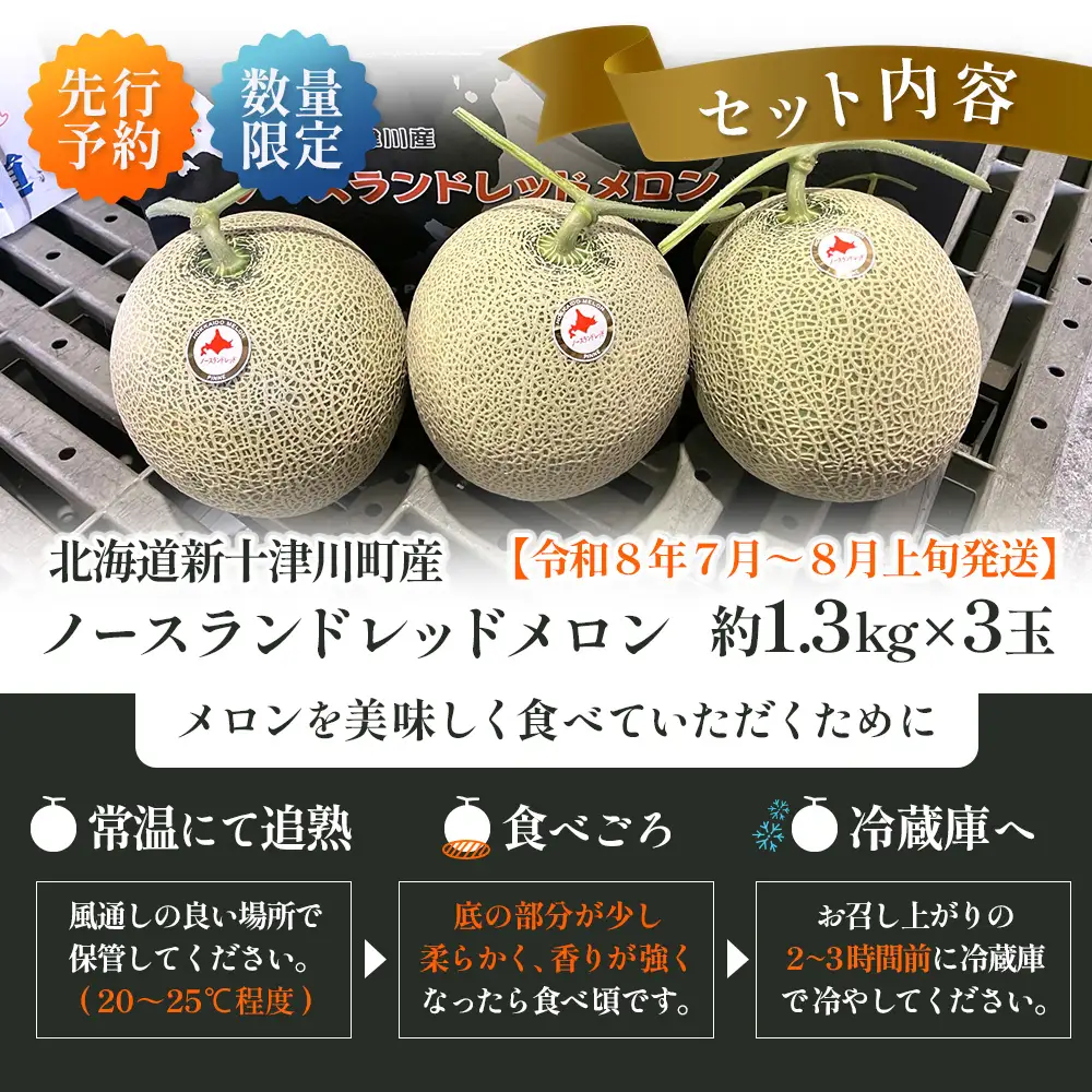 【先行予約】【数量限定】 赤肉メロン3玉【令和８年７月～８月上旬発送】【1203201】