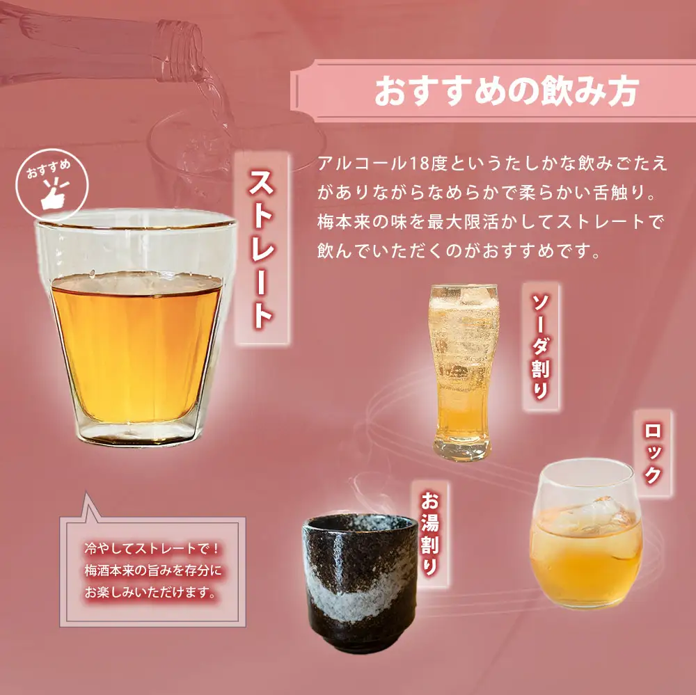 うまかぞー九州 本格梅酒 梅乙姫 720ml 梅酒 KN163-002 酒