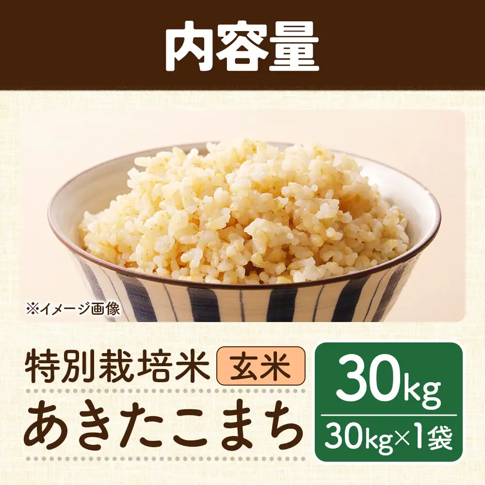 秋田県 横手市 【玄米】令和7年産 特別栽培米 あきたこまち 30kg（30kg×1袋）