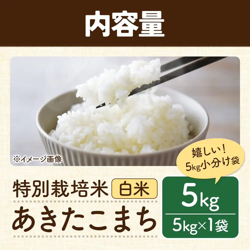 秋田県 横手市 【白米】令和7年産 秋田県産 特別栽培米 あきたこまち 5kg（5kg×1袋）