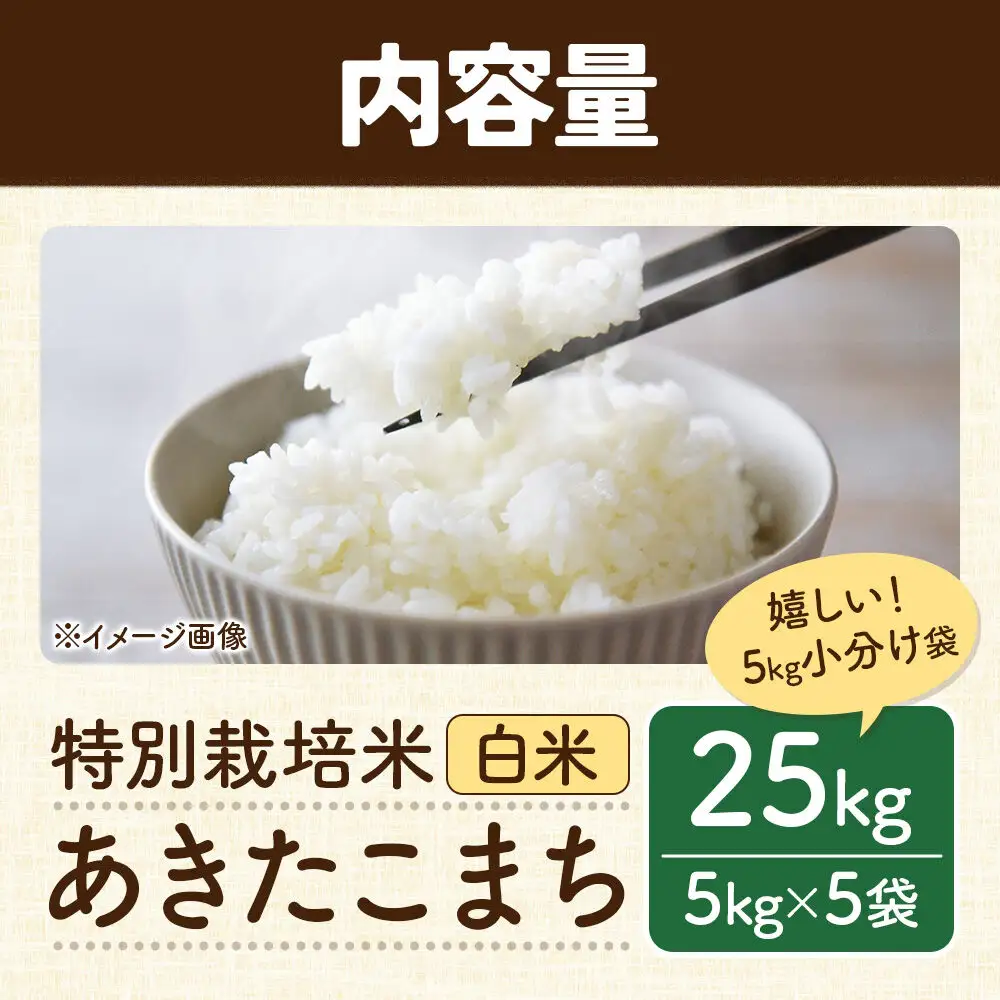 秋田県 横手市 【白米】令和7年産 秋田県産 特別栽培米 あきたこまち 25kg（5kg×5袋）