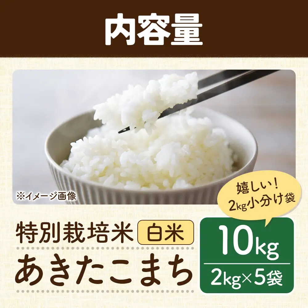 秋田県 横手市 【白米】令和7年産 秋田県産 特別栽培米 あきたこまち 10kg（2kg×5袋）