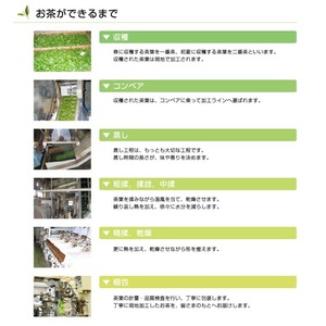 希少な香川のお茶！ 知る人ぞ知る銘茶【高瀬茶】たかせのおくみどり（80ｇ）（三-78）