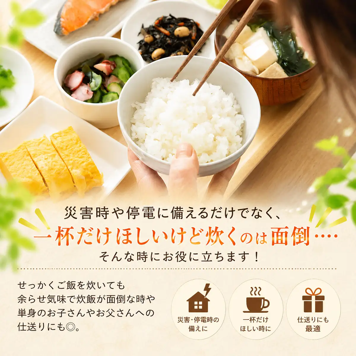 はえぬき パックライス 180g×24食セット 山形県産 パックご飯