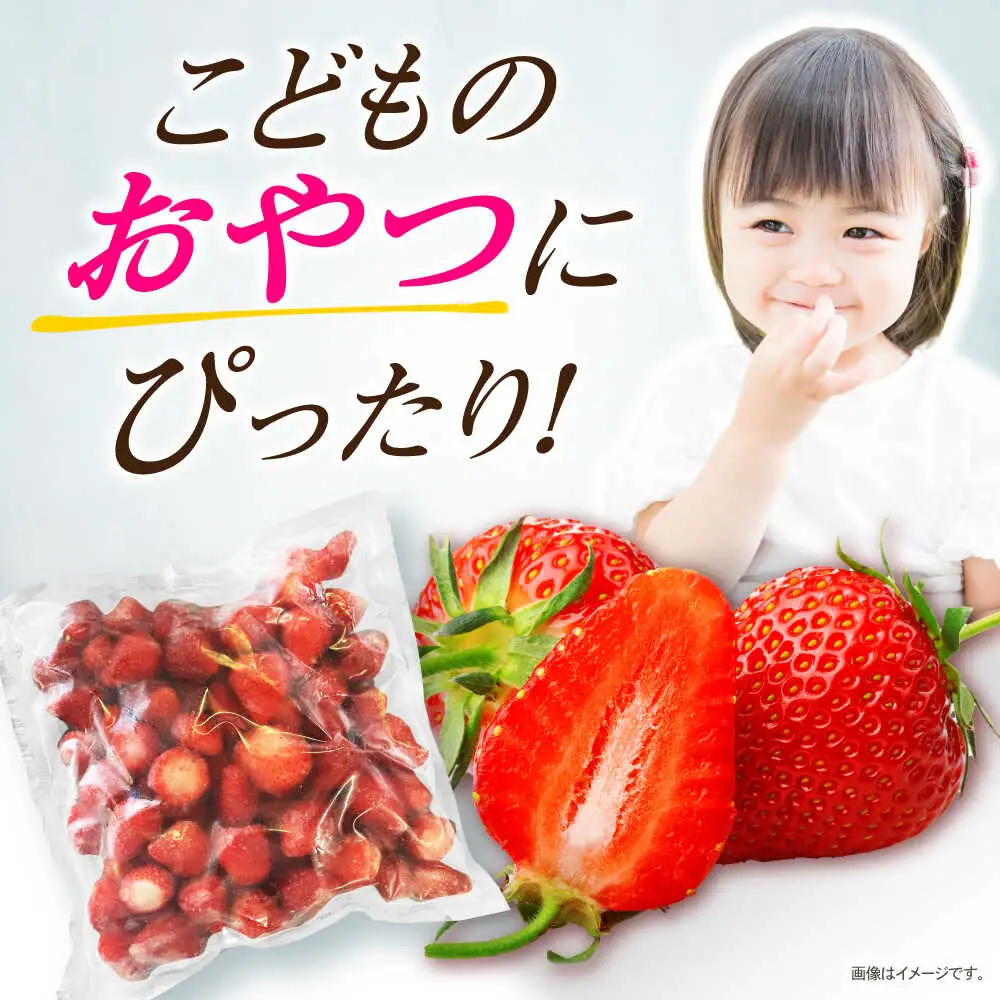 【業務用】大容量 長崎いちご 4袋セット / 冷凍 冷凍フルーツ いちご イチゴ 苺 2kg / 諫早市 / エスジーエス株式会社[AHEQ005]