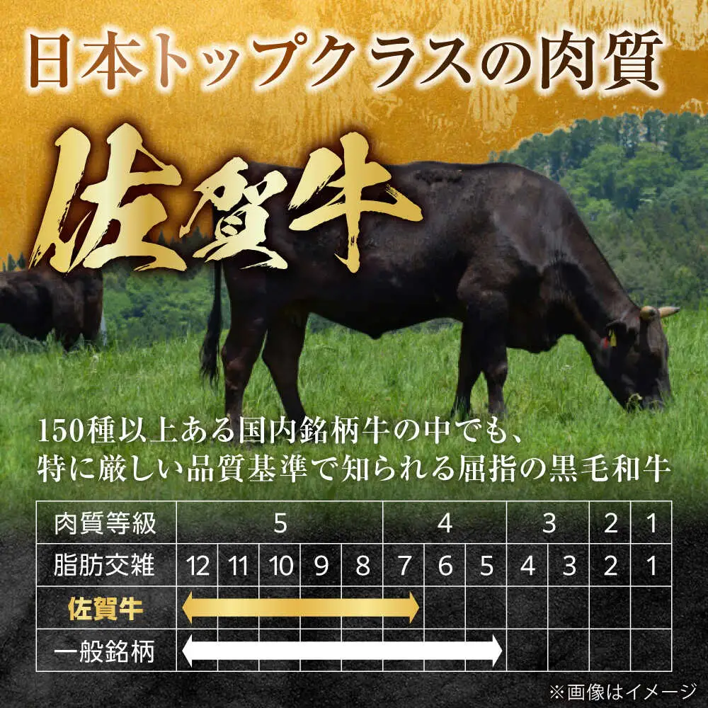 【全3回定期便】【訳あり】　佐賀牛 A4 A5等級 サイコロステーキ 400g 計1.2kg （モモ・ヒレ・イチボ・カルビ） 吉野ヶ里町/NICK’S MEAT[FCY041]