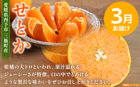 【先行予約】＜訳あり 旬の柑橘定期便 2回（温州みかん 約5kg・せとか 約5kg）＞ 数量限定 産地直送 自宅用 家庭用 みかん ミカン 蜜柑 柑橘 フルーツ 果物 果実 特産品 旬 玉やま農園 愛媛県 西予市【常温】『1回目：2026年12月／2回目：2027年3月に順次出荷予定』 MTN0008