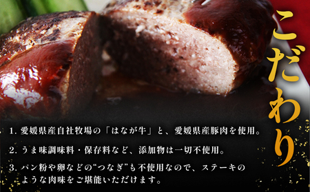 ＜合挽ハンバーグセット 10個（1個150g）＞ セット ハンバーグ はんばーぐ 合挽肉 肉 お肉 牛肉 豚肉 肉加工品 お惣菜 洋食 おかず 弁当 国産 小分け 個包装 簡単調理 特産品 ゆうぼく 愛媛県 西予市 【冷凍】『1か月以内に順次出荷予定』 UYB0015