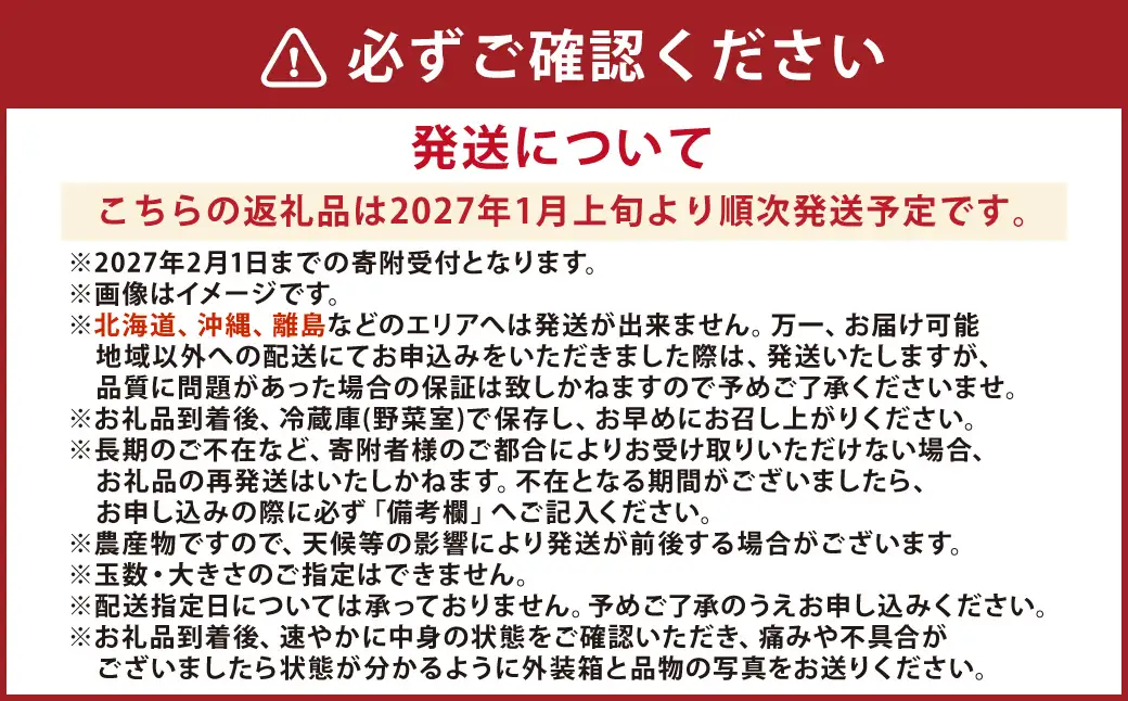 熊本県産 いちご （ゆうべに）2パック 約500g 苺 ゆうべに 【2027年1月上旬発送開始】