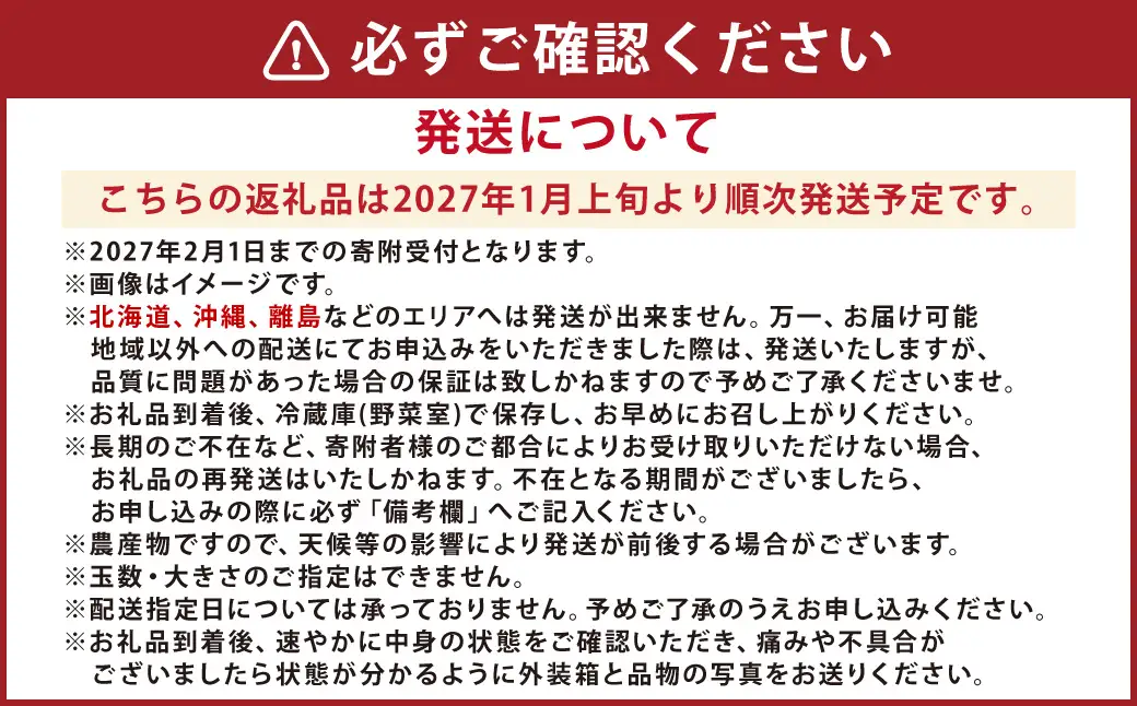 熊本県産 いちご （恋みのり）2パック 約500g 苺 恋みのり こいみのり【2027年1月上旬発送開始】
