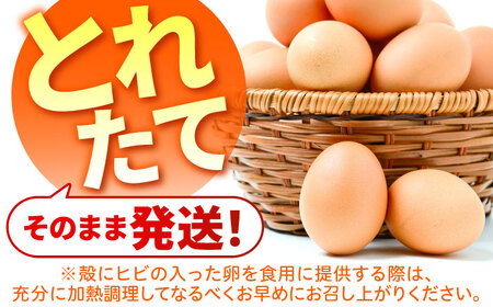 【全6回定期便】お茶と海藻で健康育ち 元気卵 360個（60個×6回） / たまご タマゴ 玉子 鶏卵 / 亀山市 / 藪本養鶏園[AMBH010]