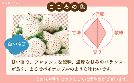先行予約 2027年2月～発送 淡雪・こころの色 白いちごプレミアム 計440g（220g×2パック） 【岸川農園】[IAP045]