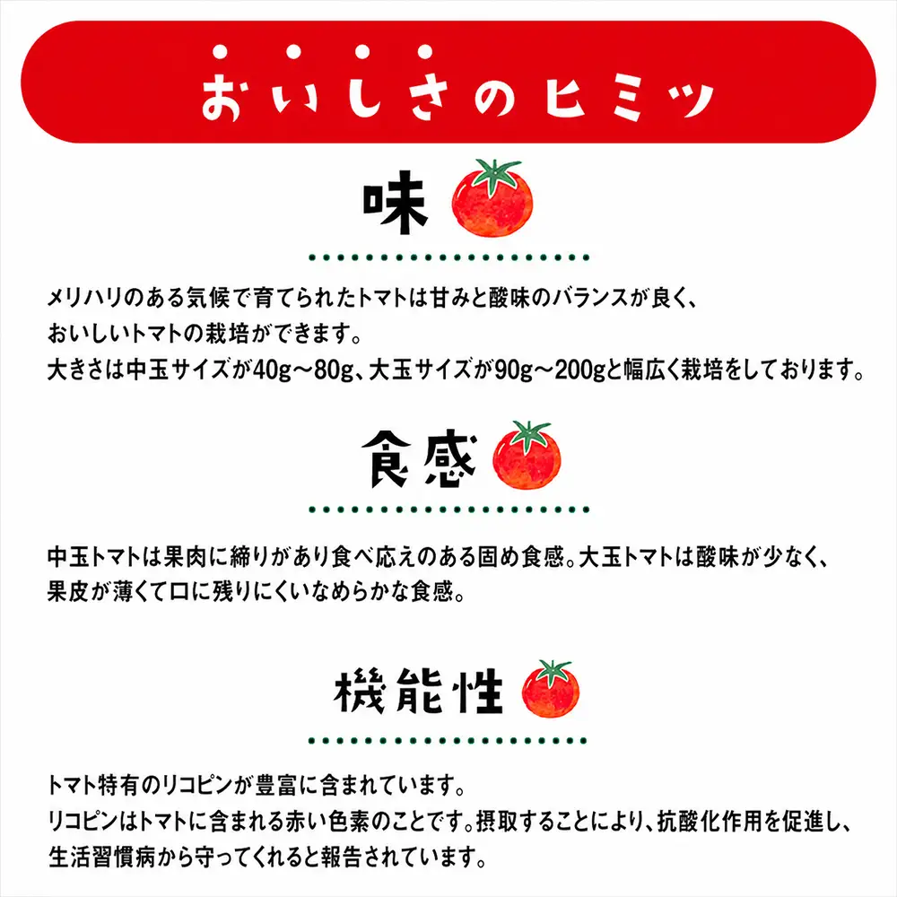 むつ市産　寅福菜園の「ミニトマト」4㎏