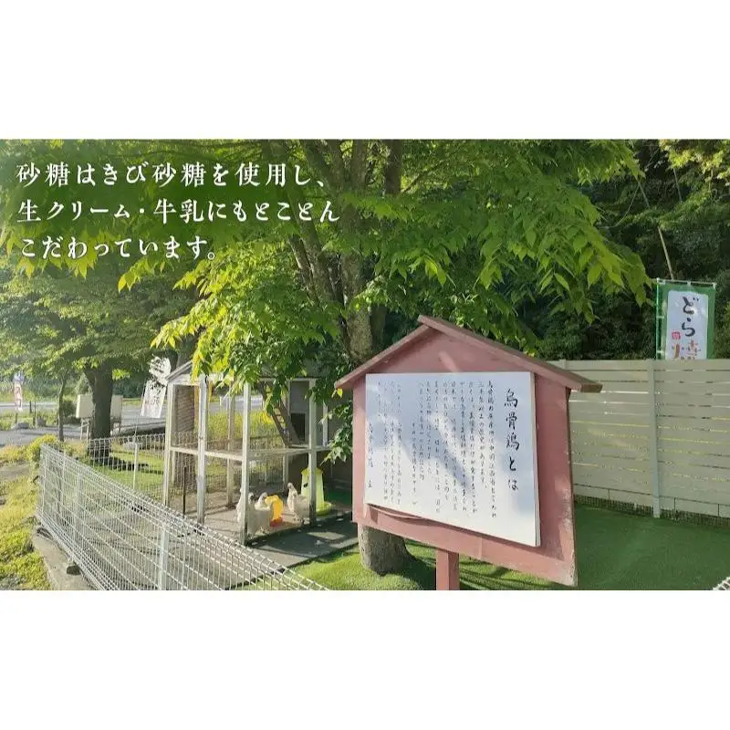 プリン 鳥骨鶏卵黄100％ぷりん 1個 洋菓子 スイーツ デザート お菓子 おやつ 烏骨鶏 卵黄 きび砂糖 生クリーム 牛乳 静岡 静岡県 森町