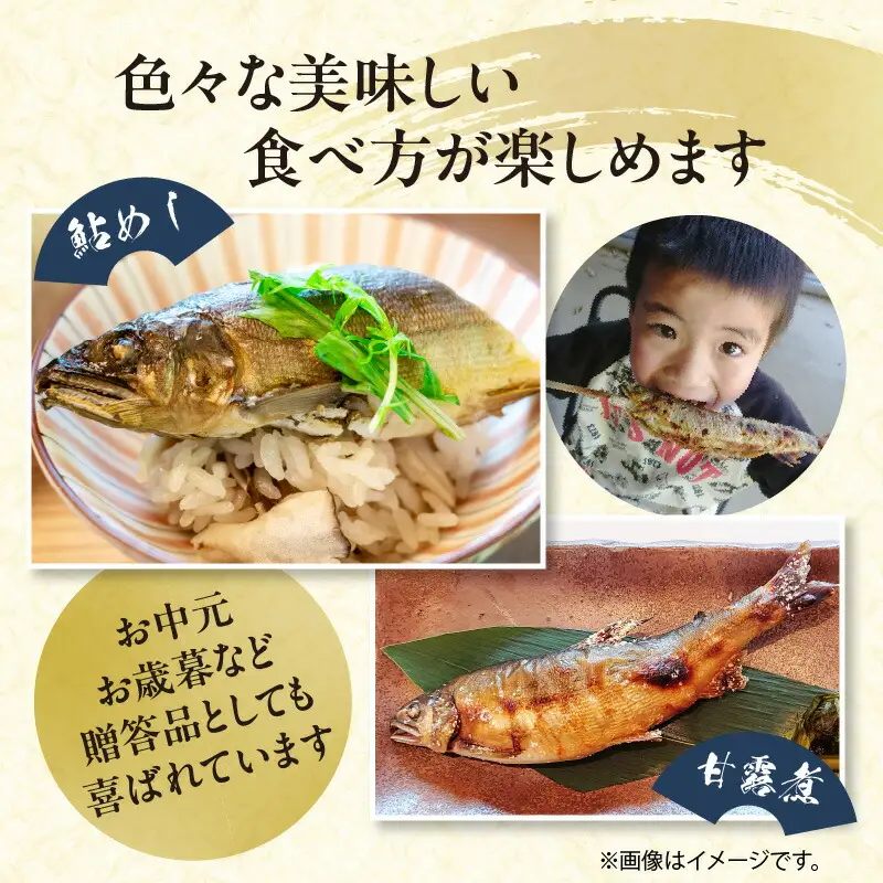 【2026年5月以降発送】延岡どれ鮎（冷凍）1.5kg N017-YA6615