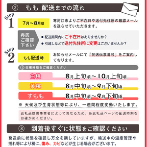 《先行予約》令和8年産 山形の白桃 秀品 2kg（5 - 9玉） 品種おまかせ 2026年産 山形県産【2026年8月上旬頃から9月下旬頃発送予定】※ 配送不可 沖縄・離島　013-B-MM011