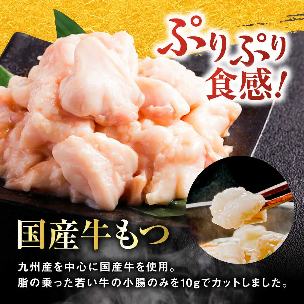 【全6回定期便】【年間100万食販売！】【もつ増量】博多もつ鍋 おおやま もつ鍋 みそ味 2人前 味噌 モツ鍋 糸島市 / 株式会社ラブ[ASP034]