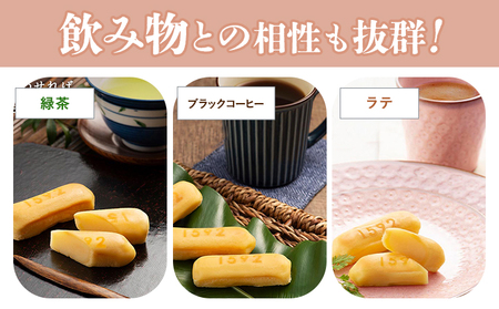濃厚生チーズケーキ 1592 ヒゴクニ 10個入り 古今堂 《30日以内に出荷予定(土日祝除く)》 熊本県 南阿蘇村 チーズケーキ チーズ ひごくに お菓子 スイーツ