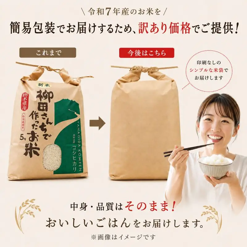 お米 訳あり にじのきらめき 白米 5kg×2P |栃木県 矢板市